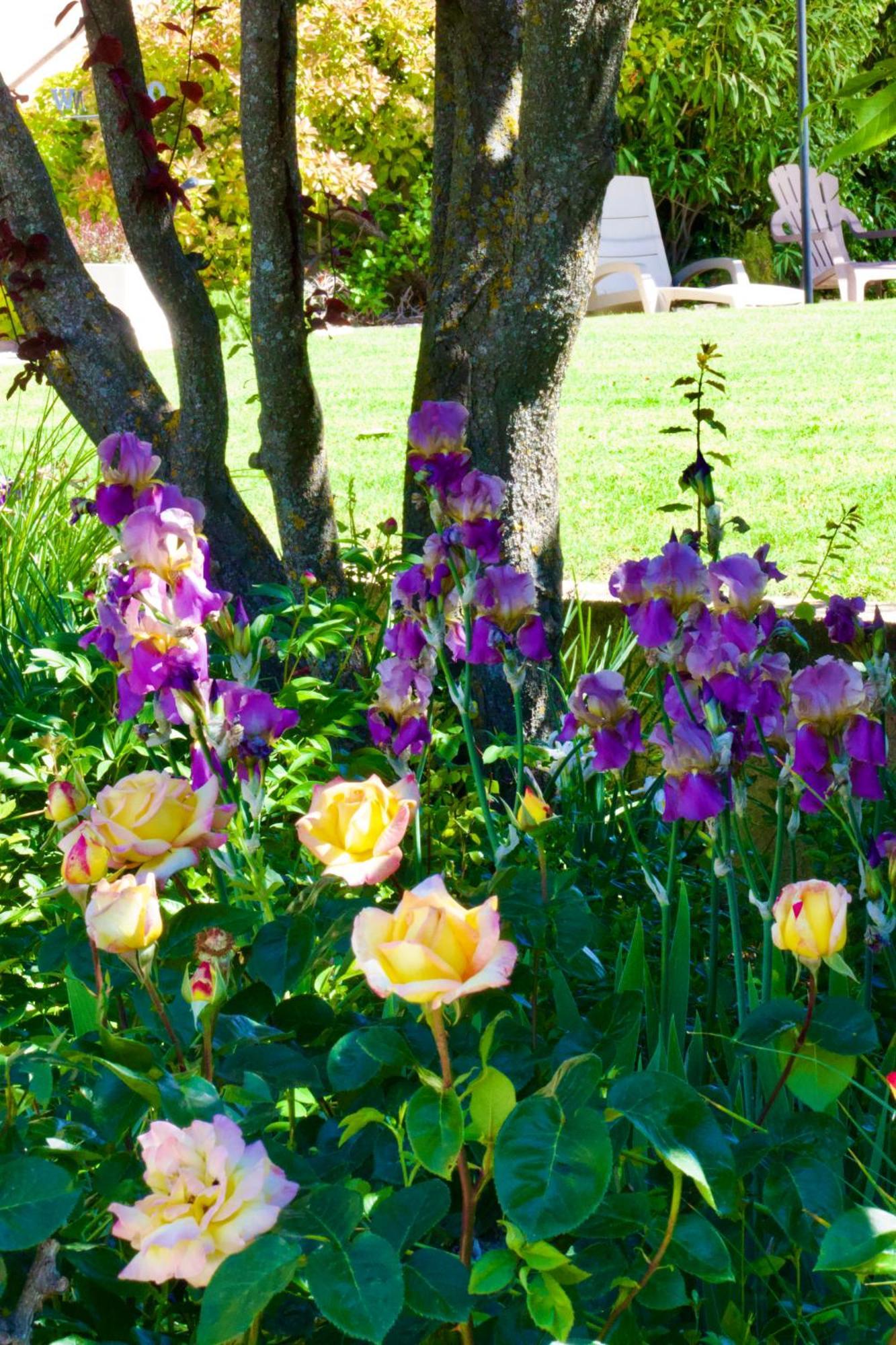 Bed and Breakfast La Bastide des Roses à Saint-Julien-d'Asse Extérieur photo