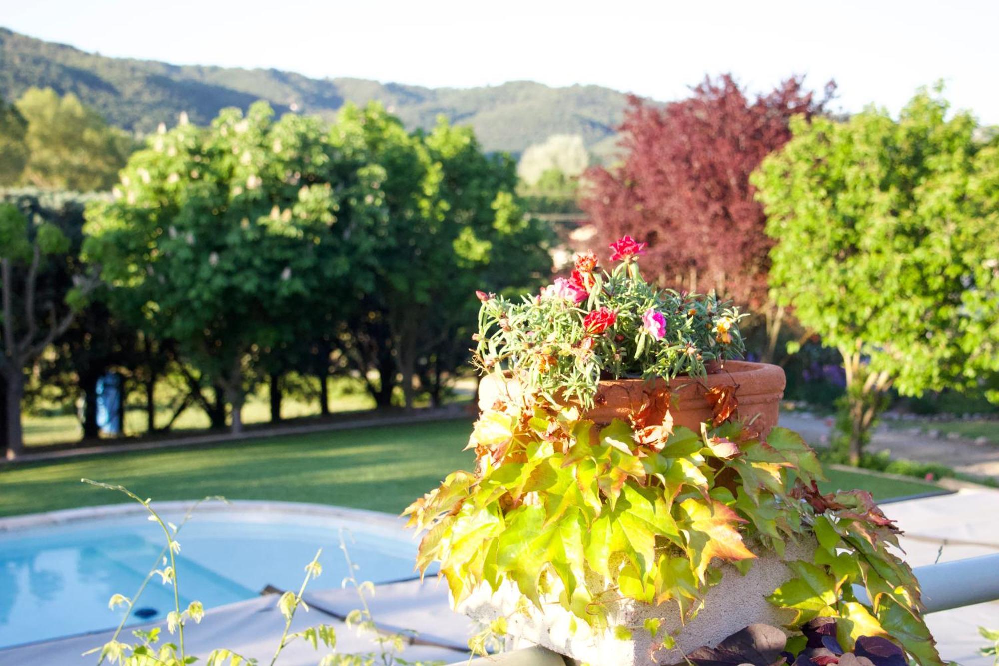 Bed and Breakfast La Bastide des Roses à Saint-Julien-d'Asse Extérieur photo